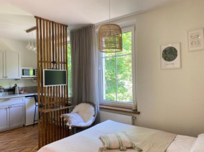 Cozy and bright Šaulių studio in Klaipeda
